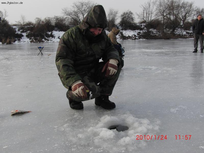 --������ �������!!! - ������� (����������)