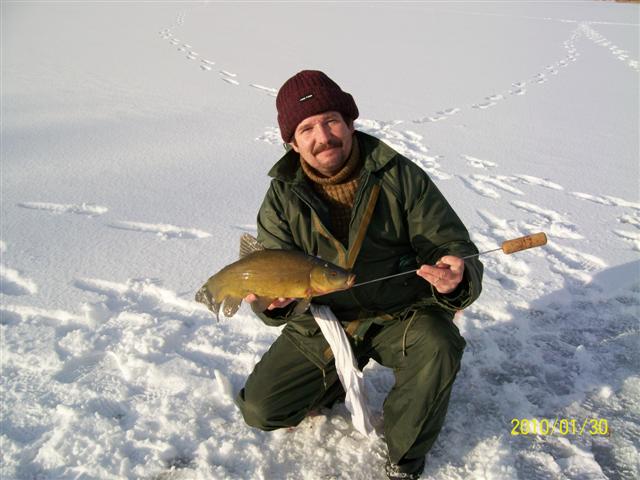 --Tinca. - ������� (����������)