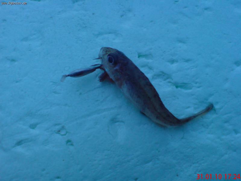 --��� 55 ��.  :-) - ������� (����������)