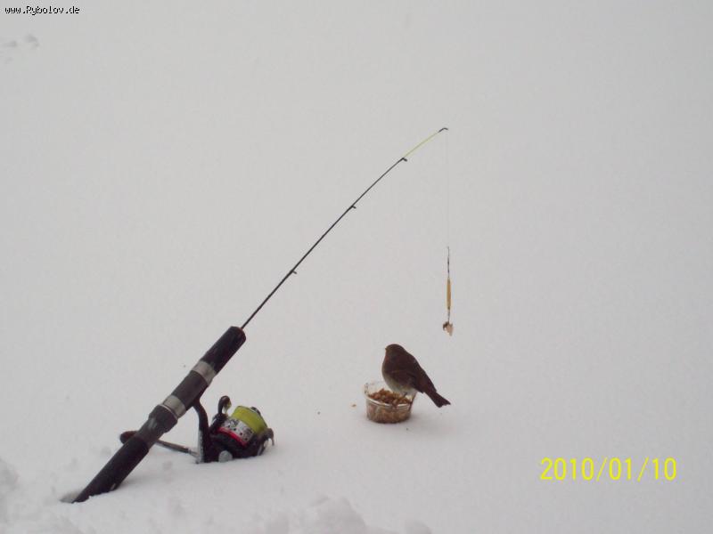 --����� �� ����. - ������� (����������)