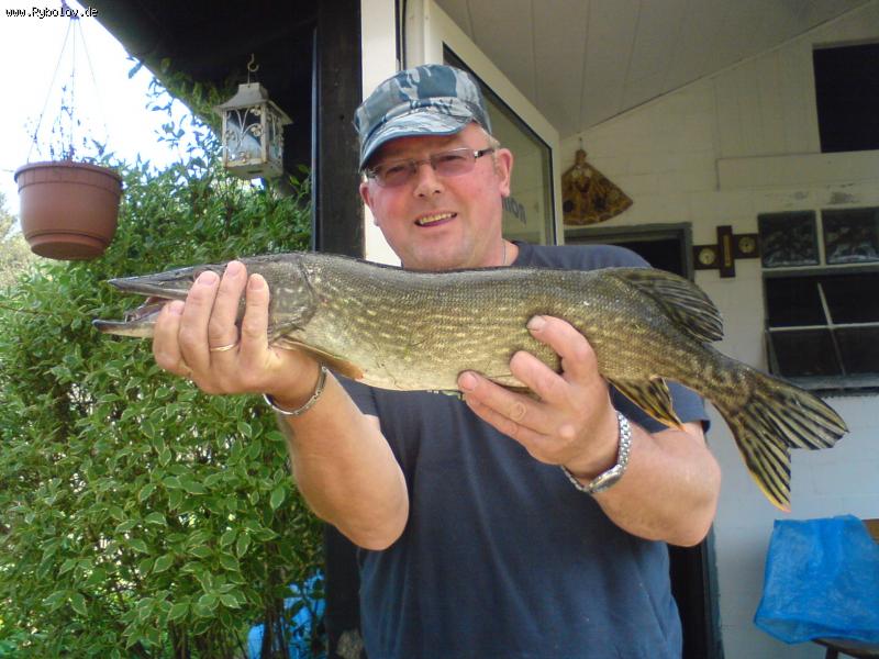 --������������ - ������� (����������)