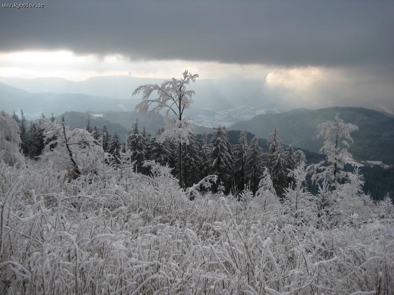 --Schwarzwald -  ()