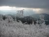 Schwarzwald - рыбалка (фотоальбом)