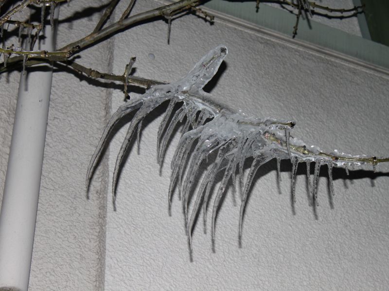 --���������� - ������� (����������)