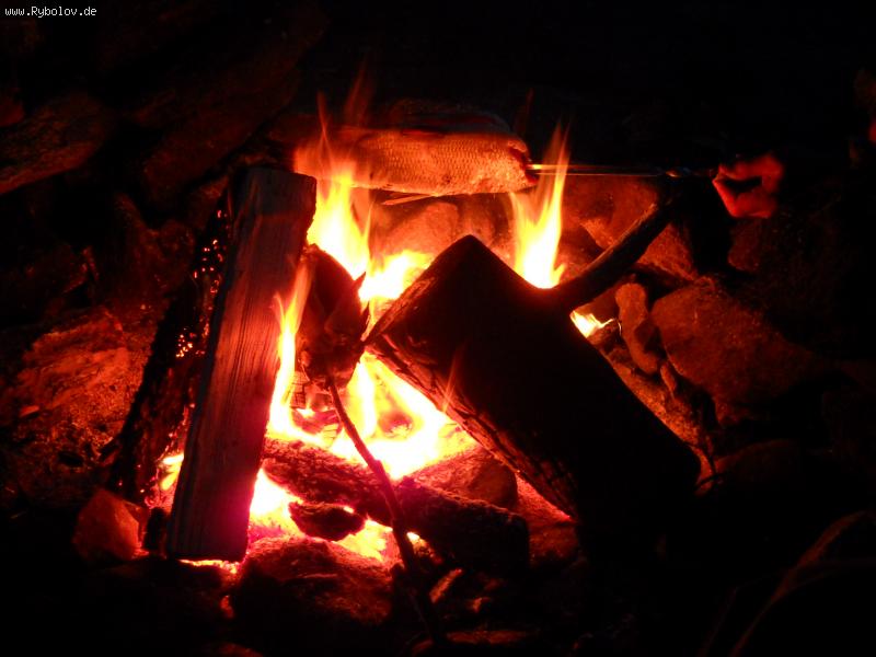 --���� ����������� ���� - ������� (����������)