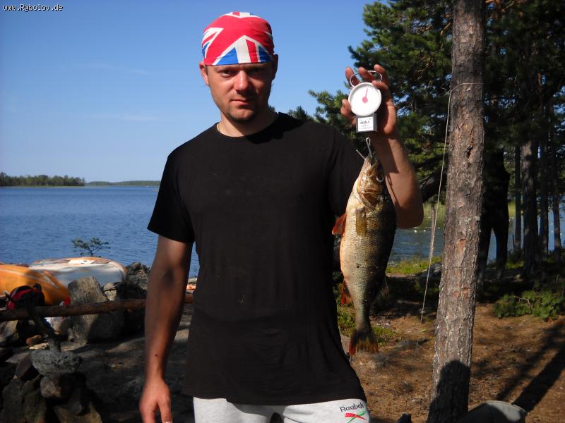 --����� 1,5 �� - ������� (����������)