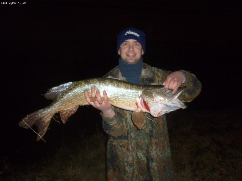 --Niderladi, Mass. -  ()