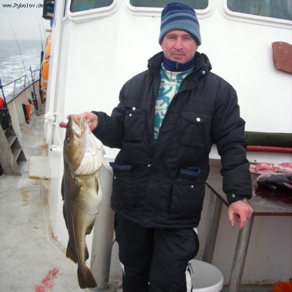 --������. - ������� (����������)