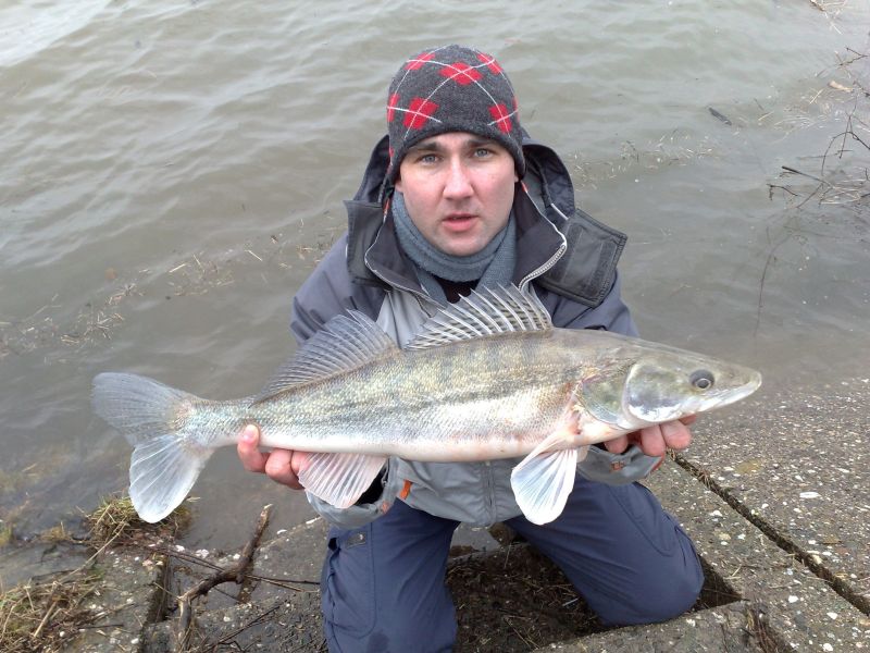 --����� - ������� (����������)