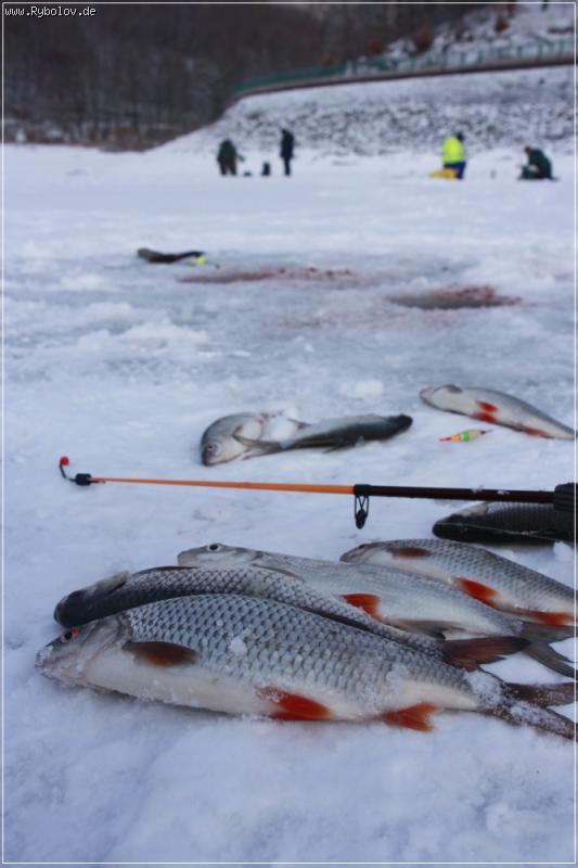 --������� 2010 - ������� (����������)