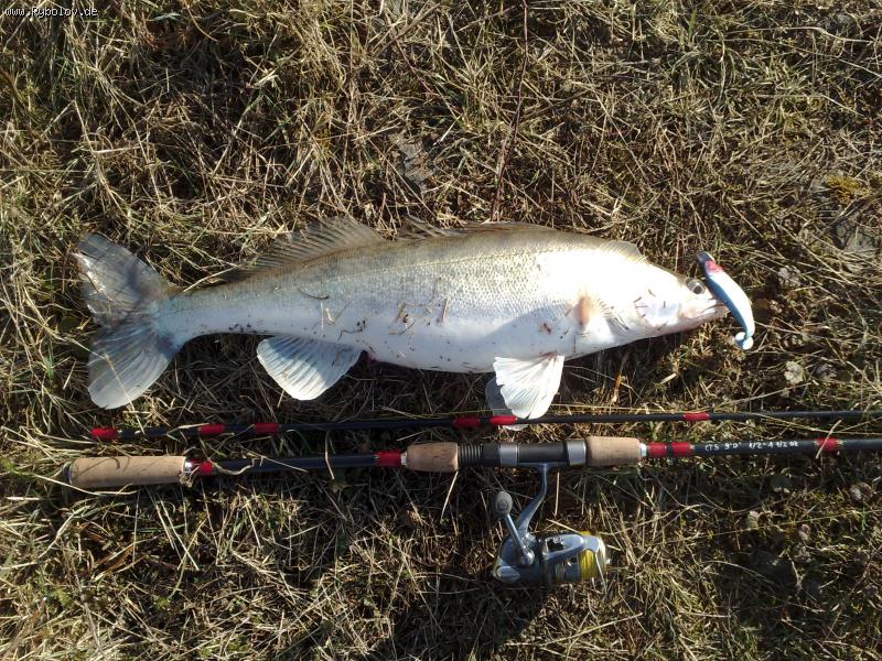 --����� � ������� - ������� (����������)