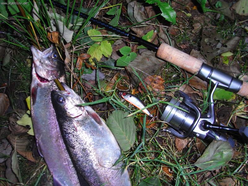 --YO ZURI 70F - ������� (����������)