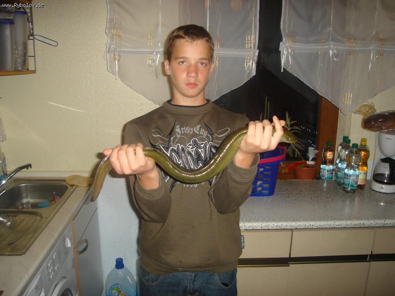 --�������� �� ����� ������ ������ - ������� (����������)