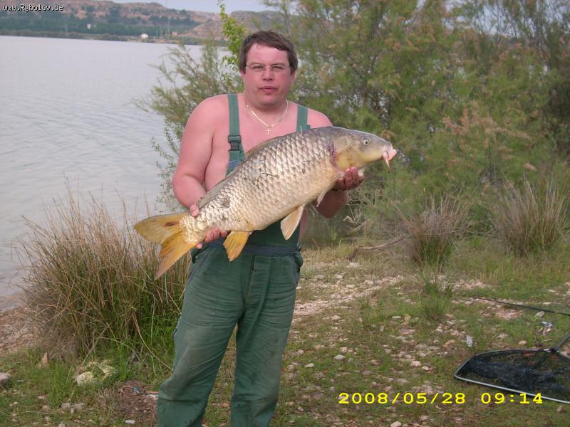 --�����. - ������� (����������)