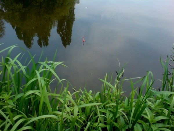 --Rummelsburgersee -  ()