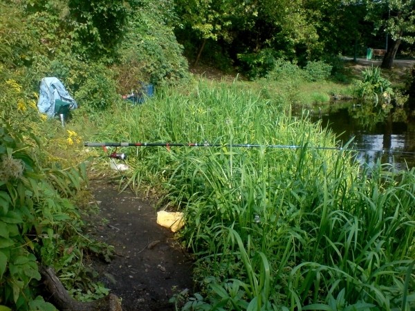 --Rummelsburgersee - ������� (����������)