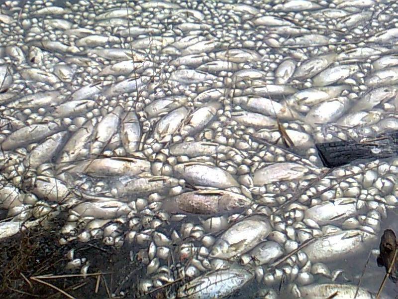 --��������� ����...(((��������� ����������� 21.03.10 - ������� (����������)