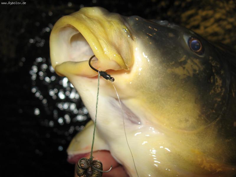 --������-�! ��� ������ ?!? - ������� (����������)