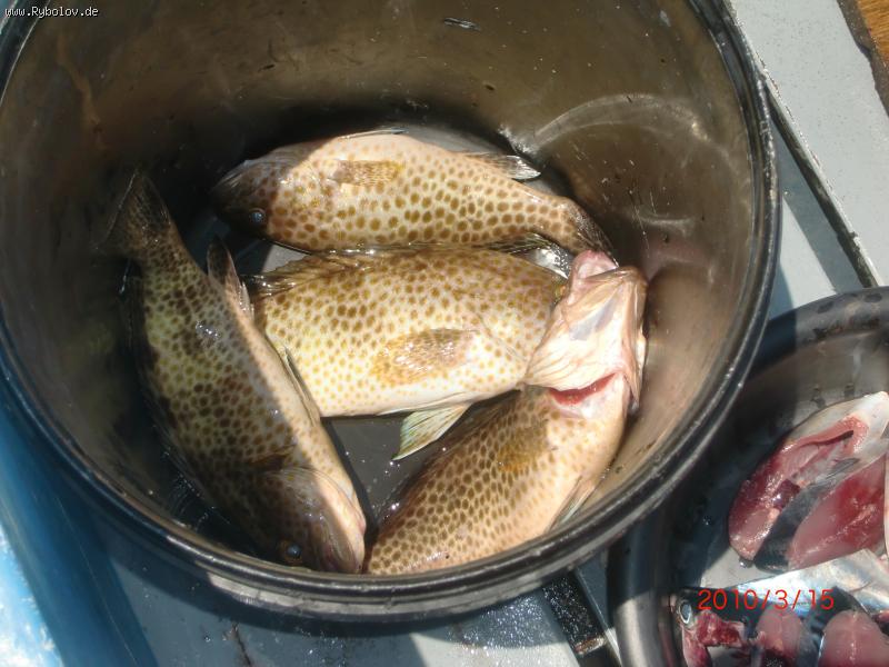 --�����, ��� ��������... - ������� (����������)