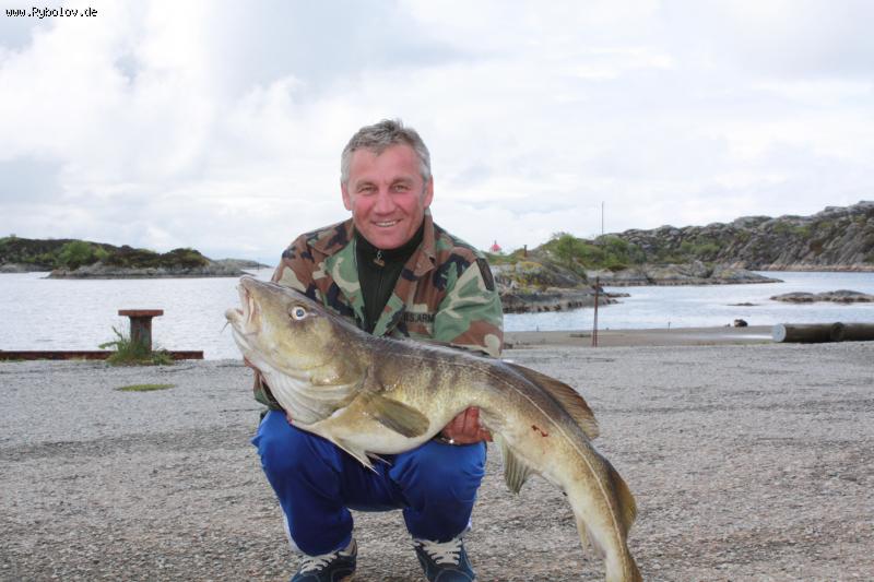 --13�� ������ ����( �������� 2009 ��� - ������� (����������)