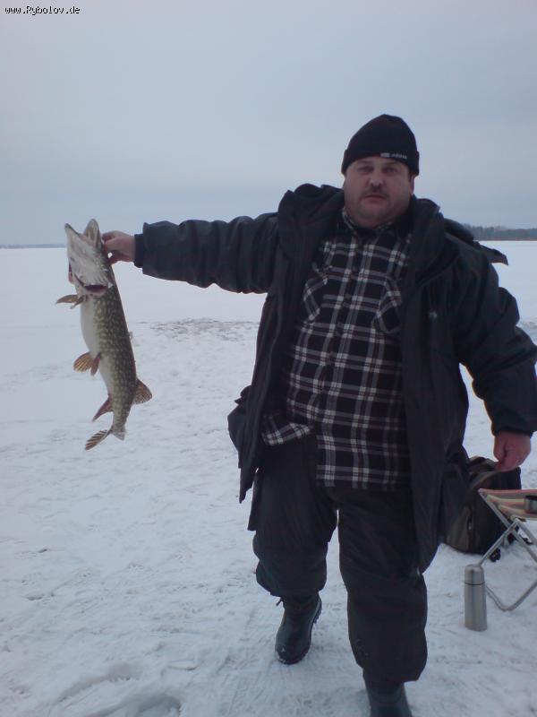 --���� - ������� (����������)