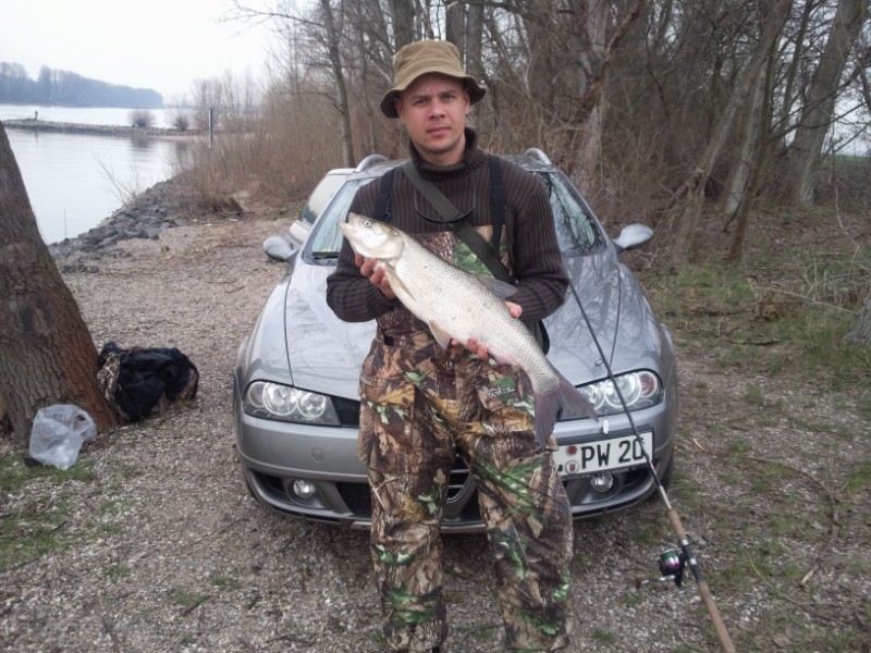 --����� 75 ��. 3,200�� - ������� (����������)