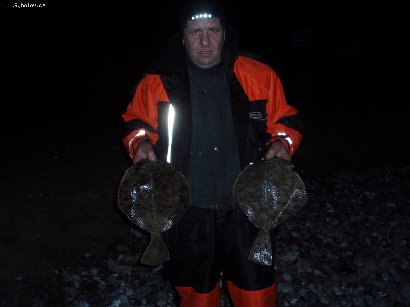 --Brandung - ������� (����������)