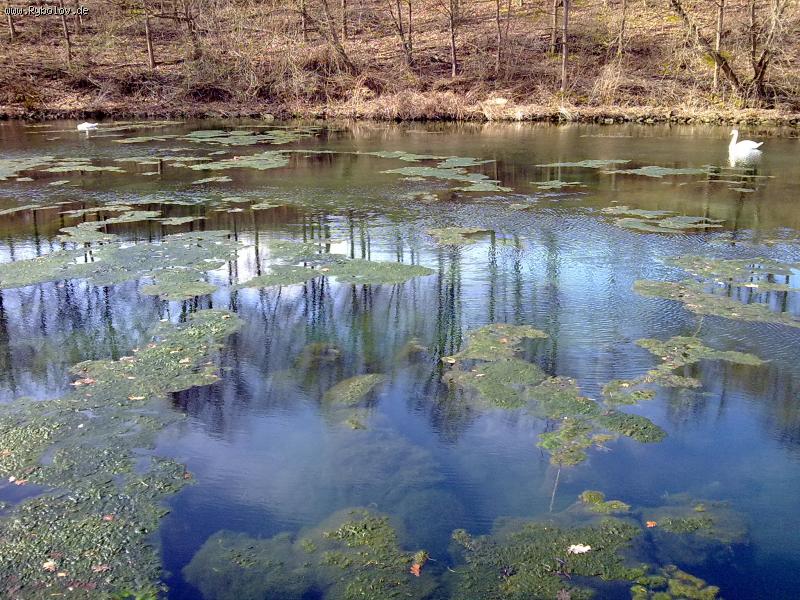 --��� ��� ����-�� ����� - ������� (����������)