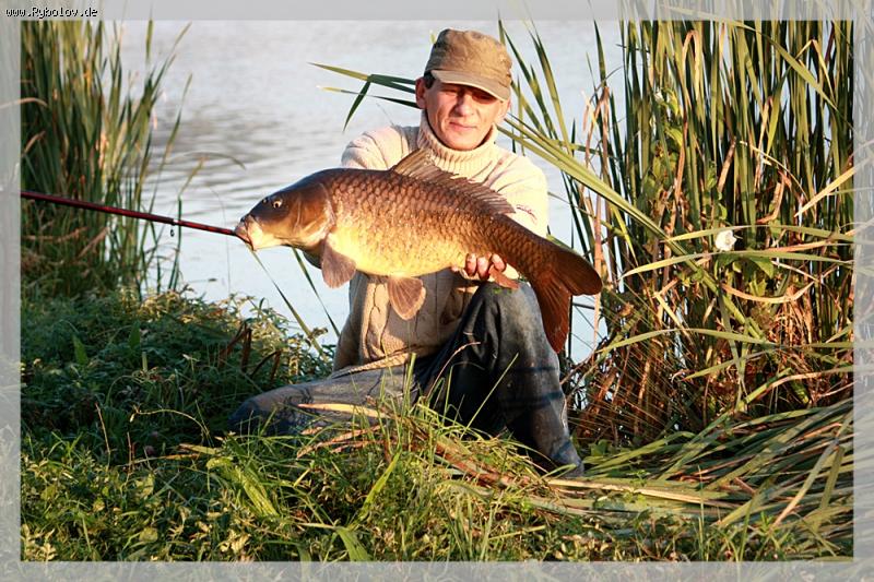 --���� - ������� (����������)