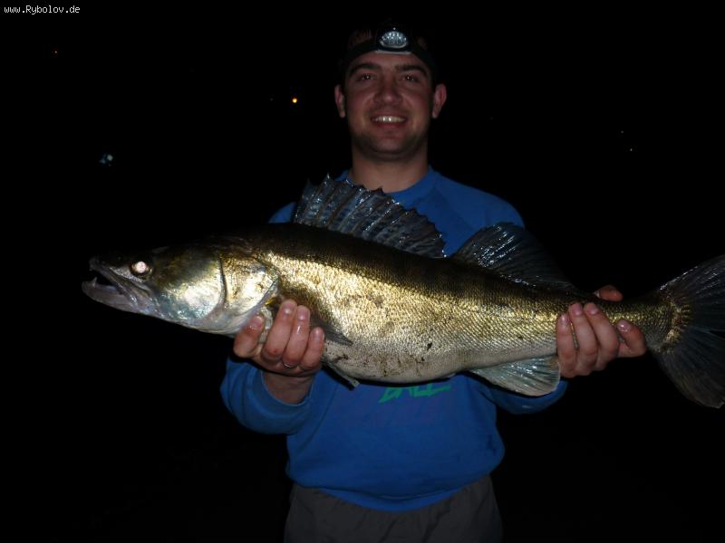 --31.03.2010. - ������� (����������)