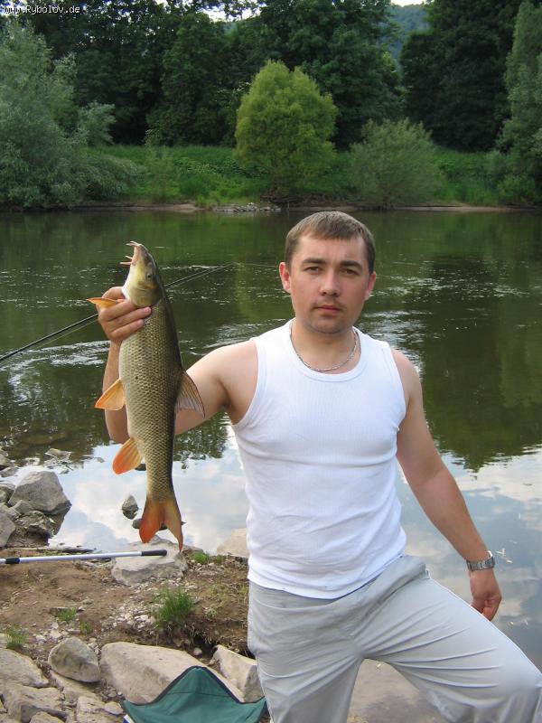 --,,Усач с Везера 56см ,, - рыбалка (фотоальбом)