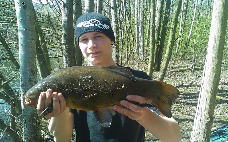 --���� 51 �� - ������� (����������)