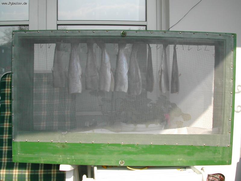 --���� ��� ����� ���� - ������� (����������)