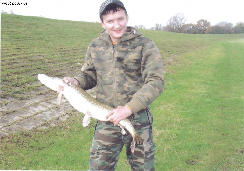 --Elbe - ������� (����������)