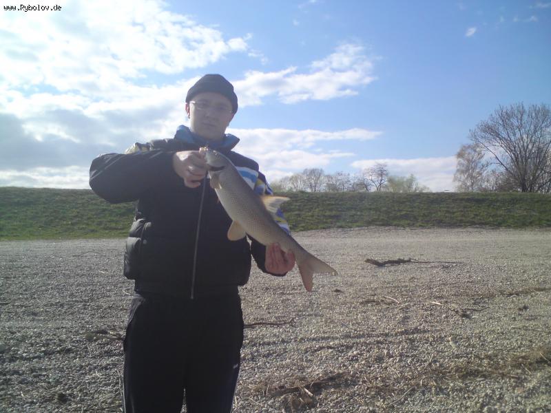 --����� - ������� (����������)