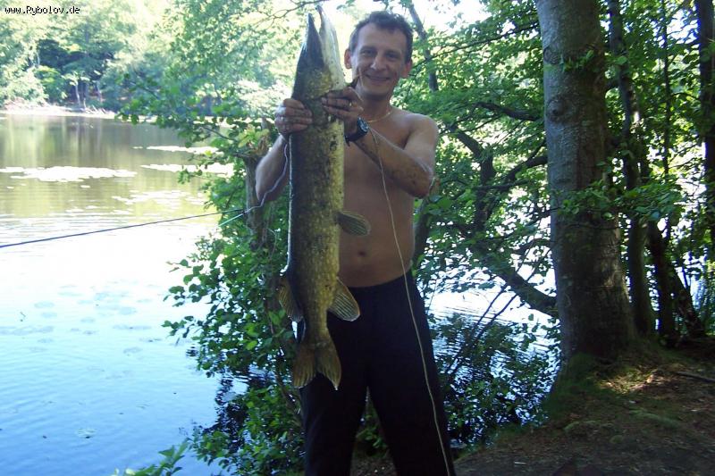 --������� � ����� - ������� (����������)