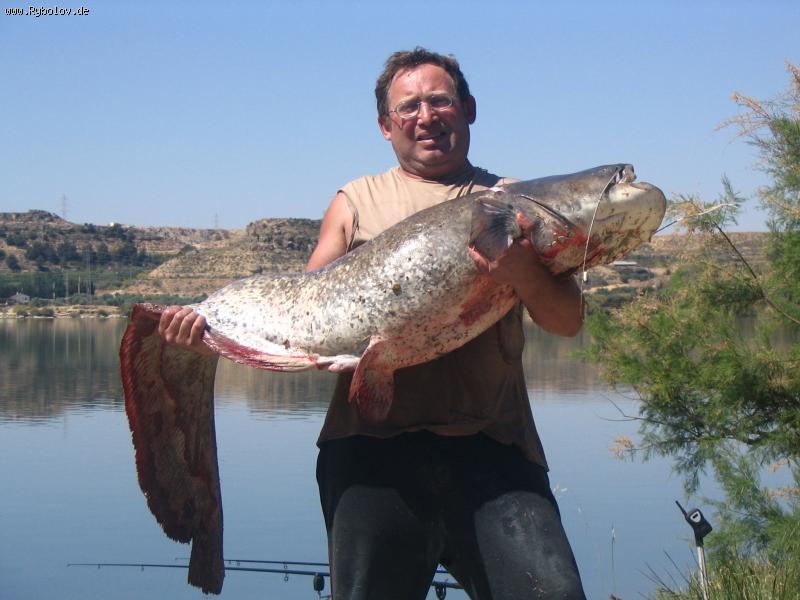 --��� - ������� (����������)