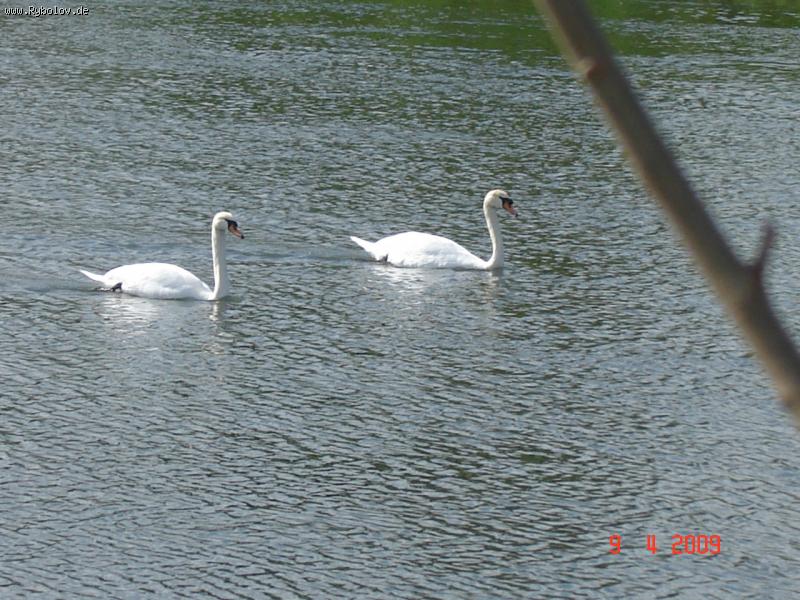 --������� - ������� (����������)