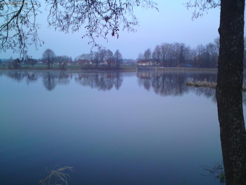 --Wiesenfelden Neuweiher -  ()