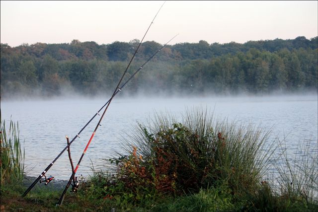 --������� - ������� (����������)