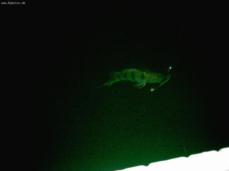 --������ ����������! - ������� (����������)