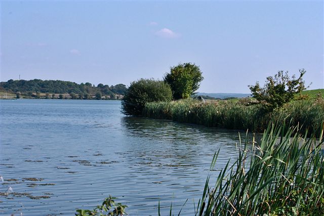 --��� ������������ - ������� (����������)