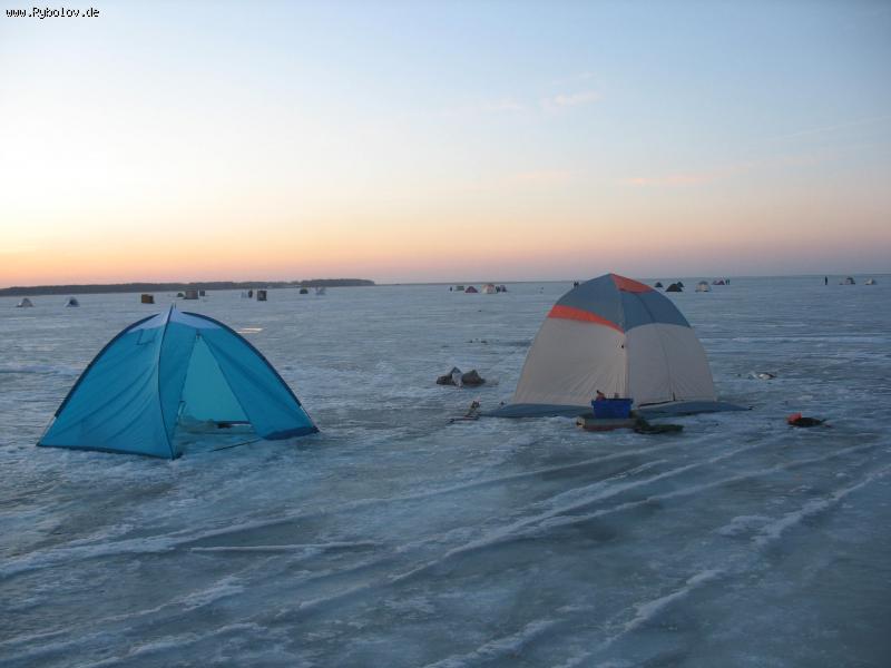 --���� - ������� (����������)