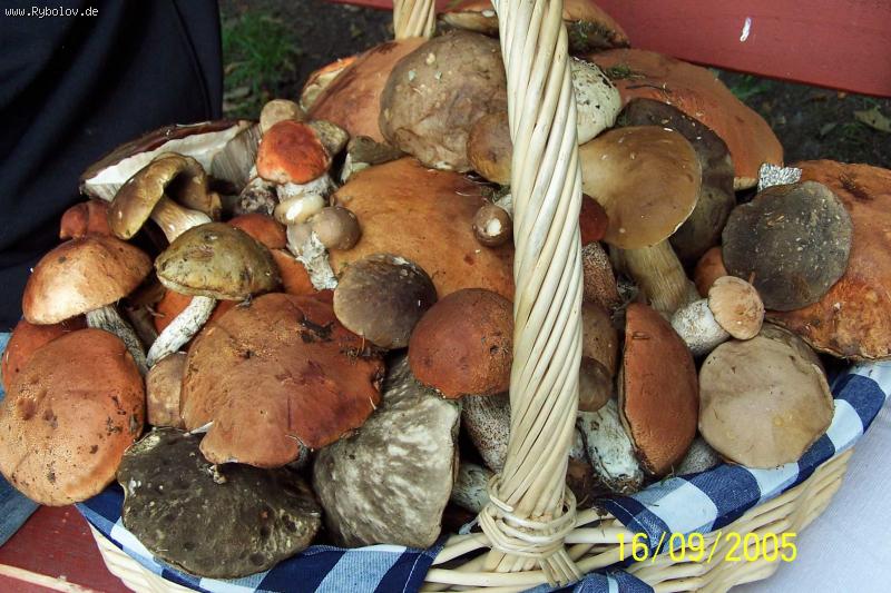 --�� ������� �� ����� - ������� (����������)