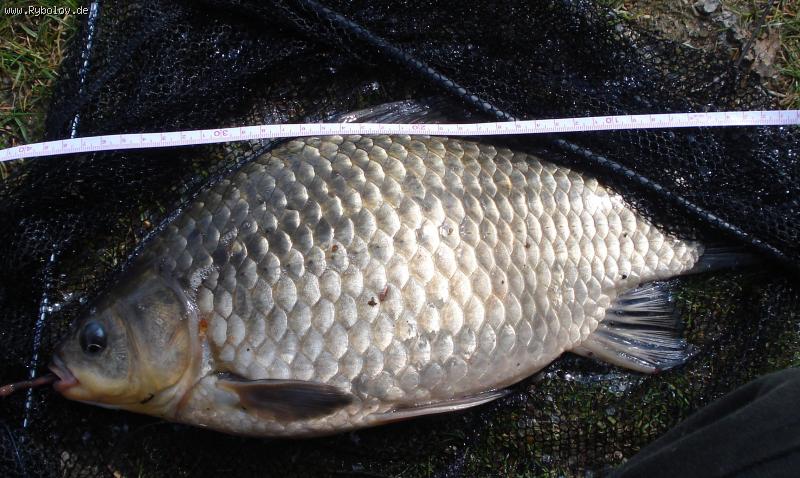 --���������� ������ - ������� (����������)