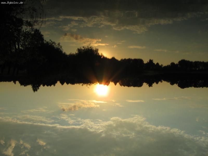 --����������� ��� - ������� (����������)