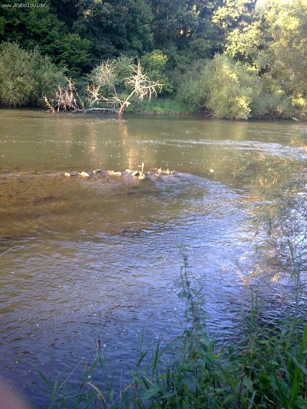 --����� ��� ������. - ������� (����������)