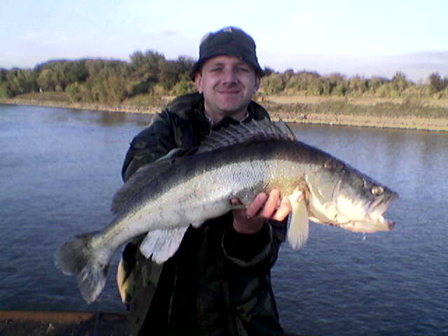 --����� 2006 - ������� (����������)