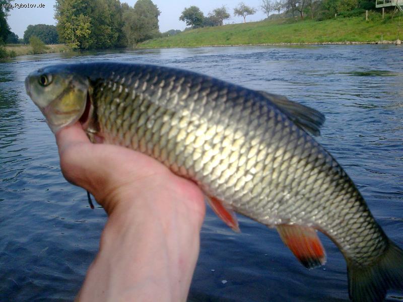 --�������� ������� �����. - ������� (����������)