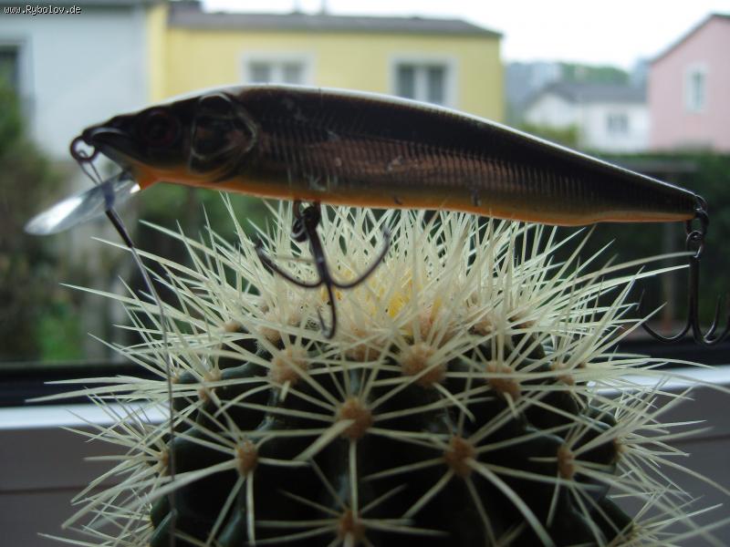 --Megabass Vision 95 Q-Go -  ()